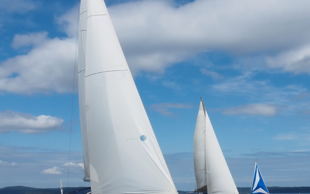 Not All “Teams” are Real Teams