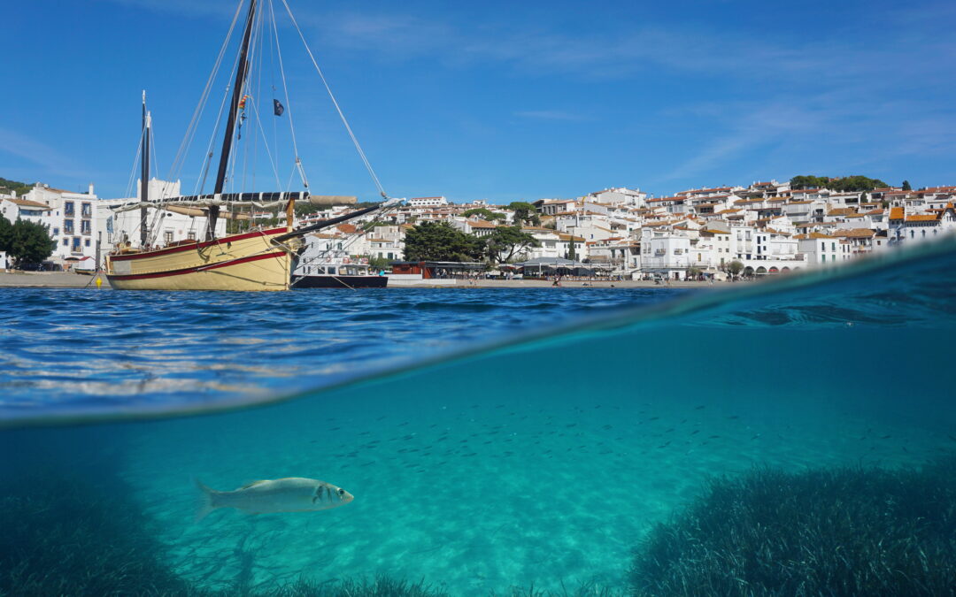 Navigating Team Conflict with the Waterline Model